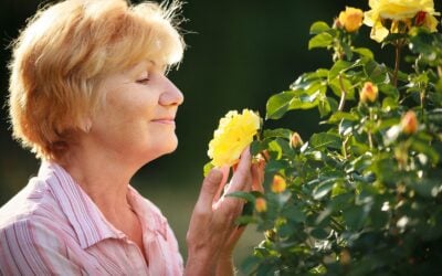 Preventing Colds and Flu in Springtime