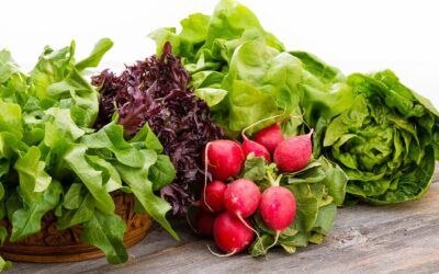 Keeping Fresh Produce Safe – What Caregivers Need to Know