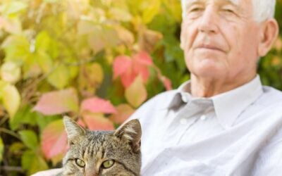 Why Do People With Dementia Repeat Themselves?