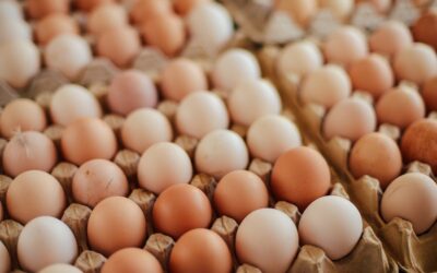 National Egg Month: Eggs Are Ideal for Elderly Diets