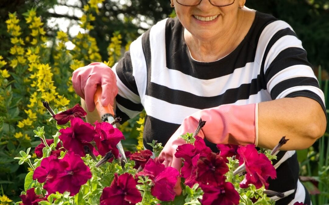 Helping Seniors in the Garden