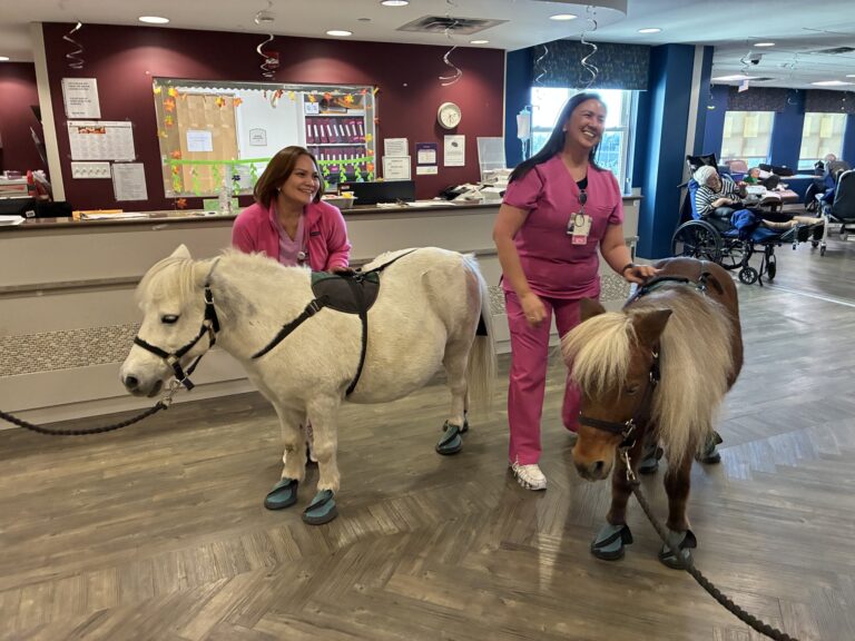 Two team members in pink scrubs with a white and a brown miniature horse at The Five Towns Premier