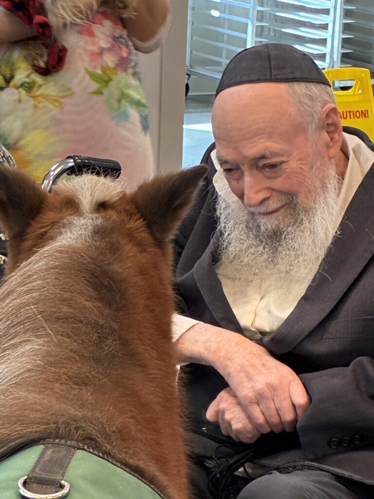 Smiling resident reaching out to a brown miniature horse