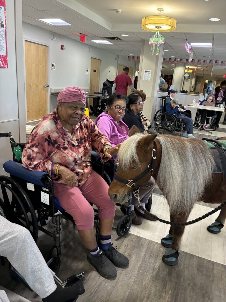 Residents seated together greeting a brown miniature horse at The Five Towns Premier